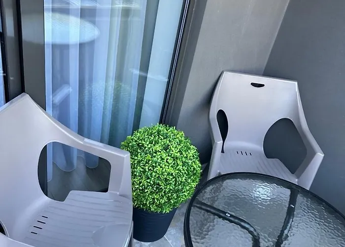 Vem калипсо * Odesa